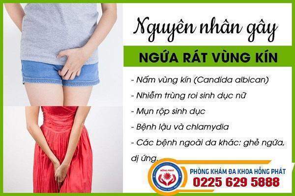 Nguyen-nhan-gay-ngua-rat-vung-kin-2